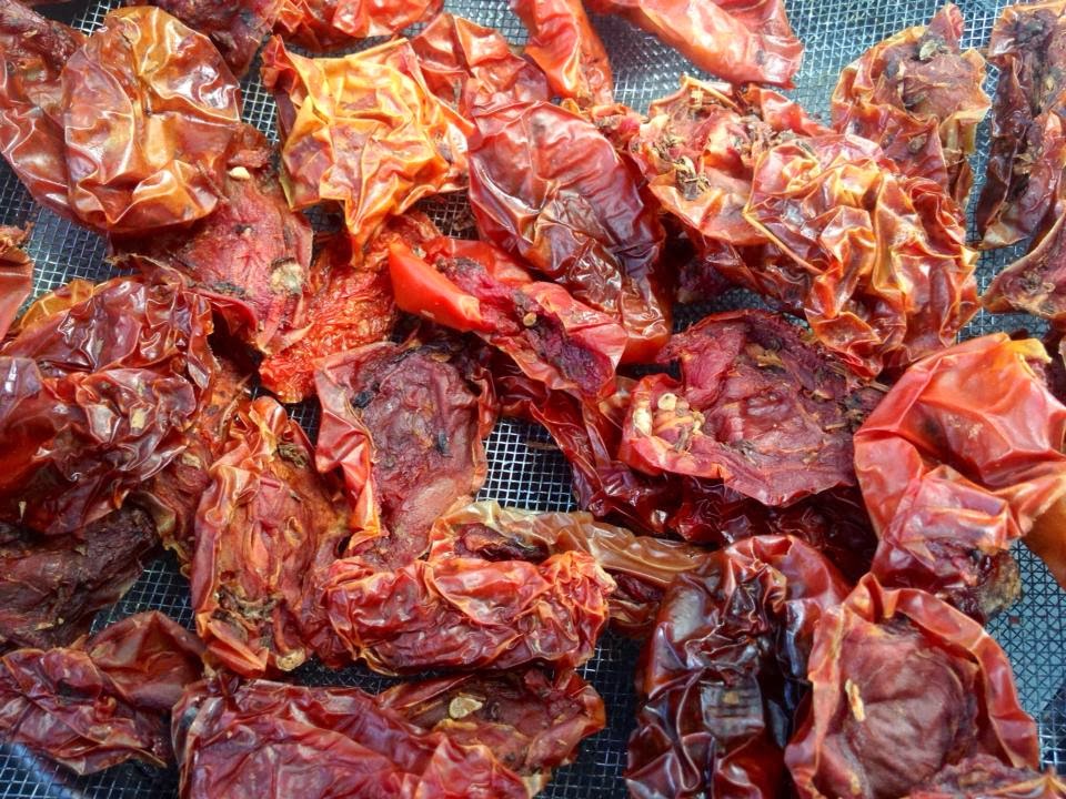 wp-1391188582847 image